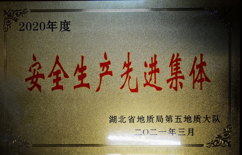 2020Ȱȫa(chn)M(jn)w